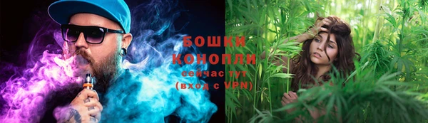 гашиш Богданович
