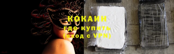 гашиш Богданович